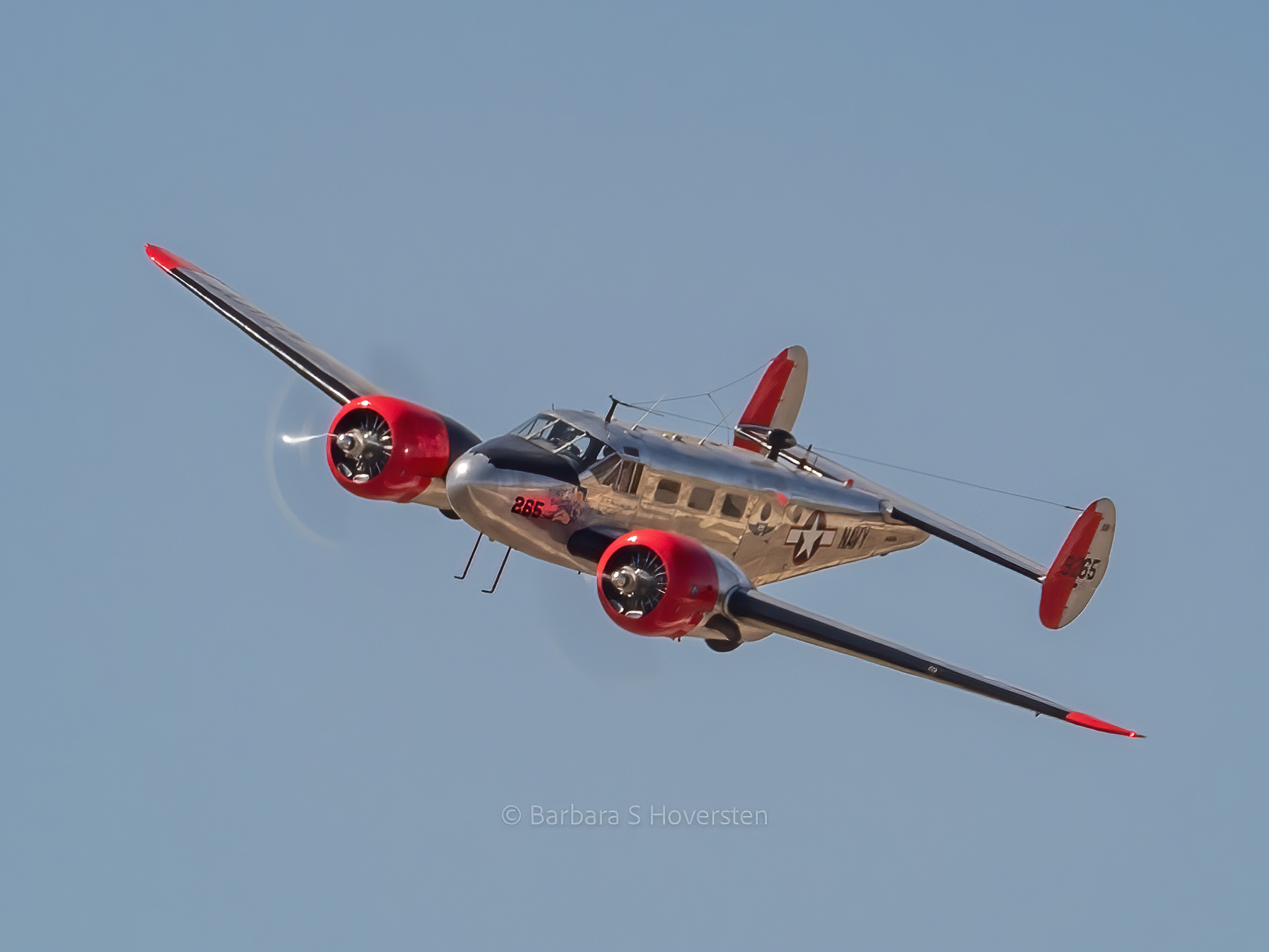 SNB-5 The Sonoran Beauty
